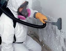 Best Forensic Mold Investigation  in Mehlville, MO